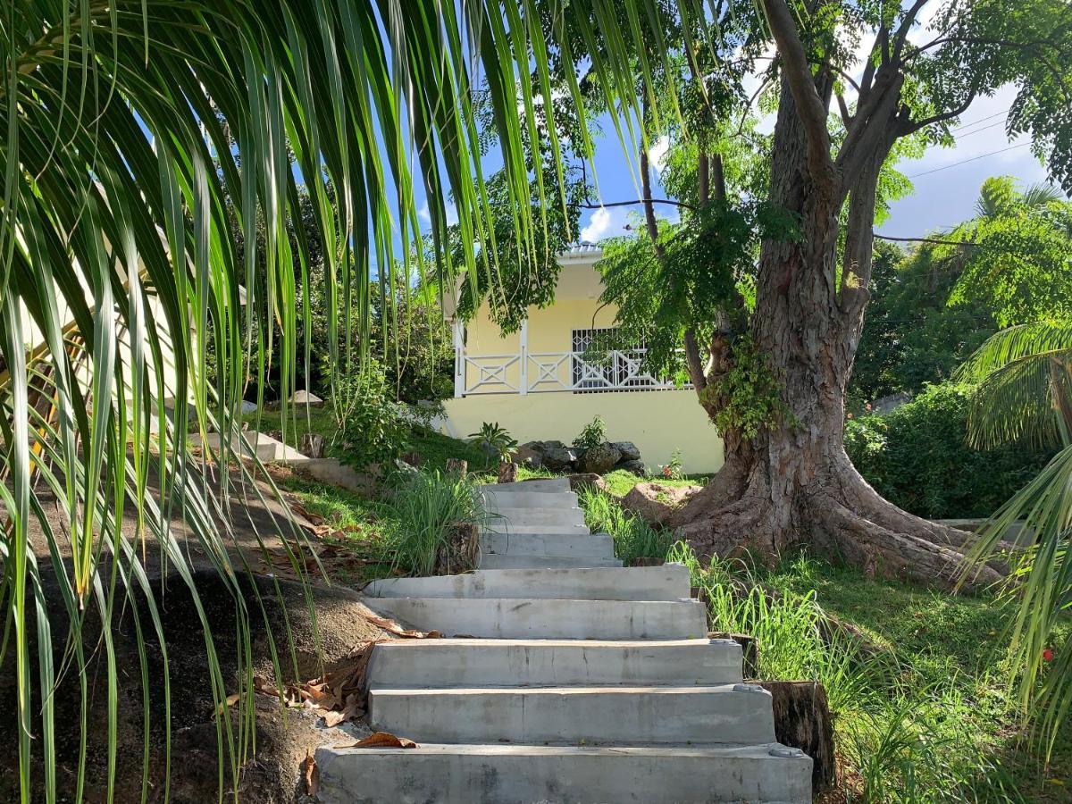 Naturalis - Oceanview Residences Misere